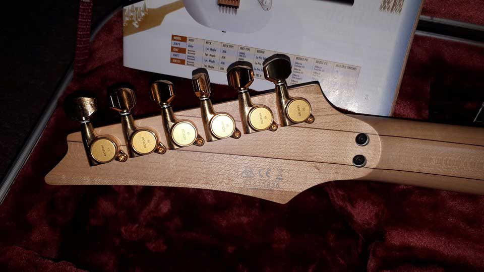 גיטרה וינטג' תל אביב, גיטרה וינטג', Ibanez jem 2015