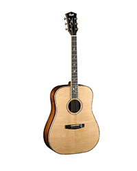 גיטרה אקוסטית, גיטרה אקוסטית מרטין, גיטרה אקוסטית פנדר, גיטרה אקוסטית גיבסון, גיטרה אקוסטית קורט